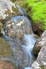 An alpine stream in Alaska's Talkeetna Mountains.