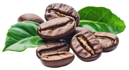 Fresh roasted coffee beans fruit with leaf isolated on white background png transparent clipart.
