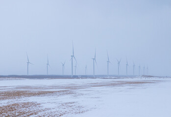 Wind turbines hazy in the continuous snow
