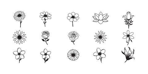 Floral line art flower drawing botanical illustration vector design elements set