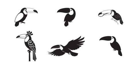 Toucan bird illustration vector set exotic tropical wildlife black and white art