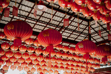 Chinese New Year lantern lights, celebration 1