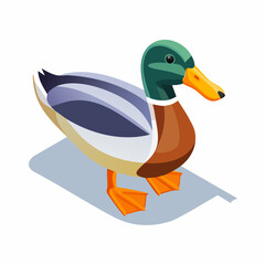 Obraz premium Isometric cartoon illustration of a duck with colorful plumage standing on a shadow