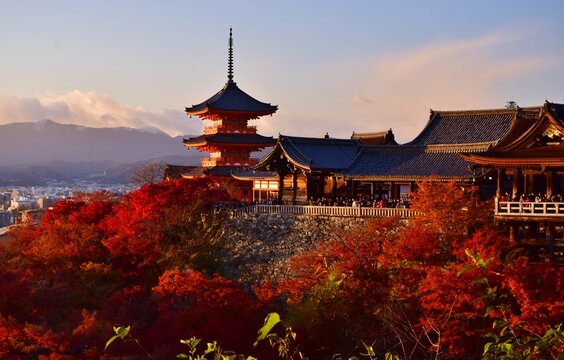 秋の清水寺・夕景