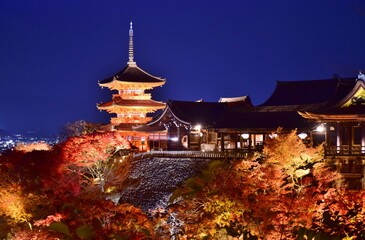 秋の京都 　清水寺ライトアップ