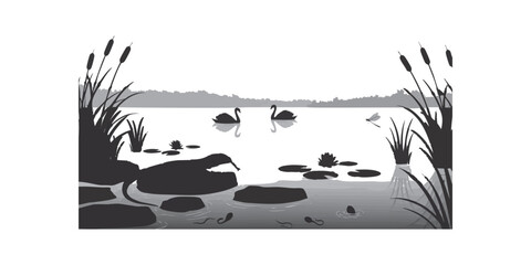 Lake swans water lilies tadpoles cattails nature black and white drawing vector art