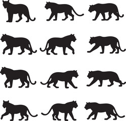 Tiger Vector Clipart – Hand-Drawn Jungle Animal Illustration in Flat Design