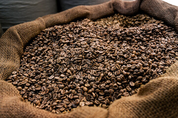 An overflowing burlap sack filled with freshly harvested coffee beans, showcasing richness and...