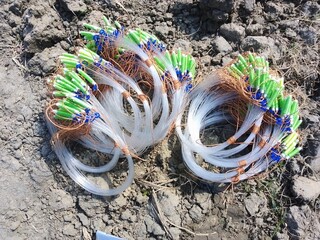 dahuk dhora fad

Bundle of Ruak Bird Catching Tools Handmade

Rural Hunting Trap for Ruak and Small Birds

Nylon Wire Bird Snare – Traditional Ruak Trap

Ruak Bird Huntin