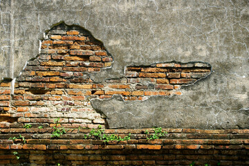 Cracked Brick Wall with Exposed Gritty Texture and Green Plant Life