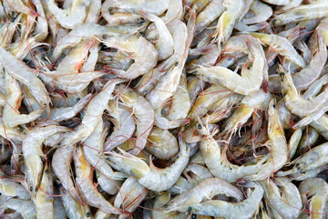 Fresh Raw Shrimp Piled Together on a Market Display for Sale