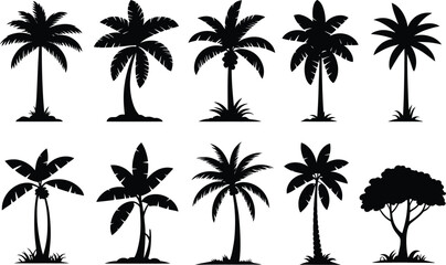 Fototapeta premium Tropical palm trees silhouettes black and white nature