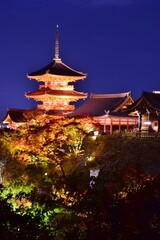 秋の京都 　清水寺ライトアップ