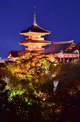 秋の京都 　清水寺ライトアップ