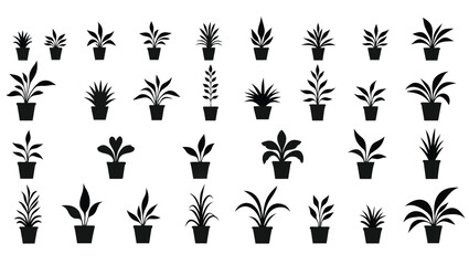 Potted plants silhouettes various leaf shapes and sizes houseplants indoor plants