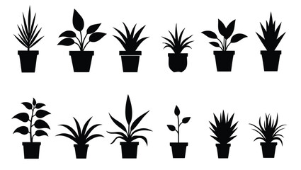 Potted plants silhouettes various leaf shapes and sizes houseplants indoor plants