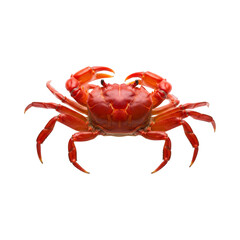 crab isolated on white background Cut out the background