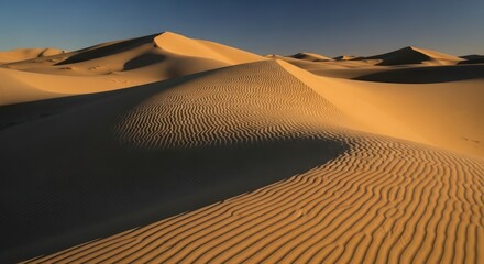 Desert landscape with sand dunes and rippled sand patterns