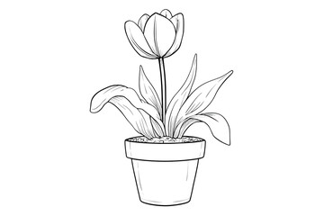 Simple Hand Drawn Tulip Flower in a Pot Outline Illustration. Ai Generated Images