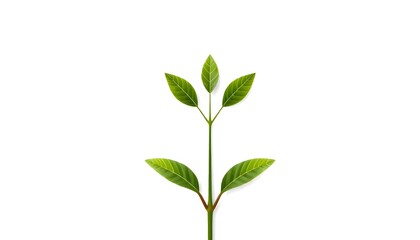 Fototapeta premium Vector illustration of small green plant sprouting from the soil, symbolizing new growth, hope, and natural development in a clean environmental setting