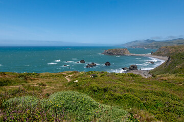 Goat  Rock State Park coastline in Sonoma County in California, USA, on a typical summer day in the...