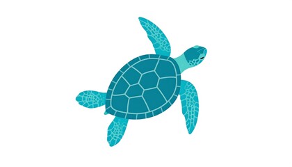 Teal sea turtle swimming, viewed from above