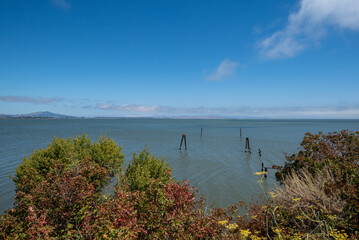 Old pier at  San Pablo Bay