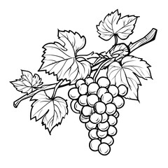 Obraz premium Detailed Line Art Grape Branch with Leaves Botanical Illustration. Ai Generated Images