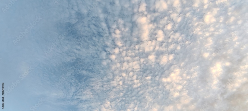 Wall mural a multitude of white clouds in diverse and fantastical shapes floating in the sky. the clouds are di