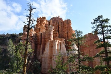 Scenic view of Fairyland Loop Trail in Bryce Canyon National Park under a clear blue sky