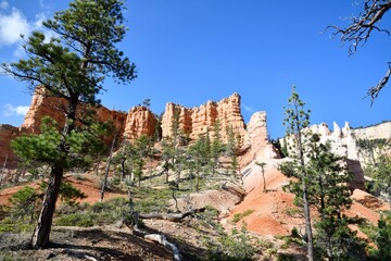 Scenic view of Fairyland Loop Trail in Bryce Canyon National Park under a clear blue sky