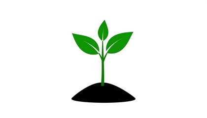 Illustration of a young plant growing from soil, representing growth and nature
