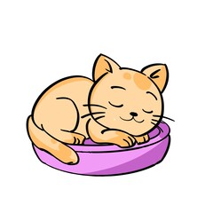 cat sleeping very cute