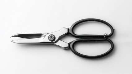 Fototapeta premium Stainless Steel Scissors Isolated on White Background in Monochrome