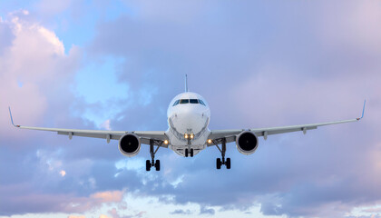 Obraz premium The plane will land at the airport