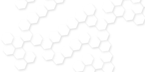 Fototapeta premium Modern seamless geometry pattern hexagon, The pattern of white hexagons is arranged in a slightly irregular, organic layout, white and gray hexagon honeycomb geometric copy space.
