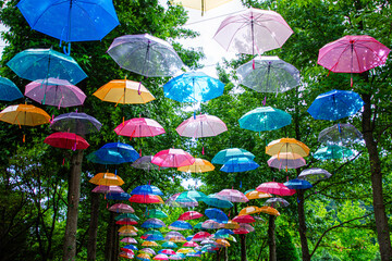 傘まつり