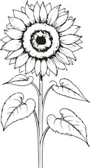 Minimal line art of sunflower, clean vector outline, black and white floral drawing, elegant botanical sketch, summer bloom illustration 5