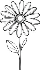 Simple line art drawing of daisy flower, black and white minimal floral design, clean background, vector outline style 2