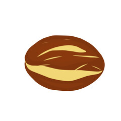 Illustration of jengkol fruit. Flat design Illustration of jengkol. Illustration of raw jengkol salad
