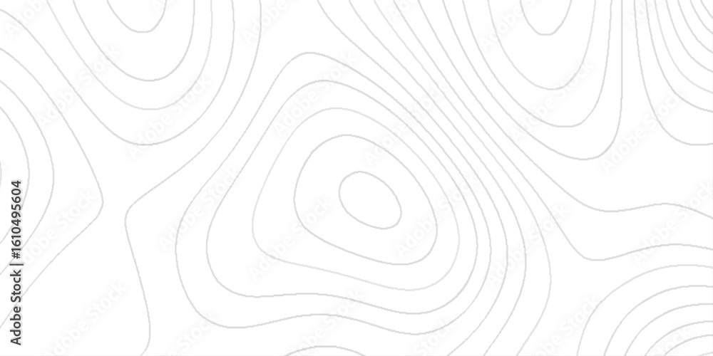 Poster abstract geometric frame and elegant art nouveau with delicate topography design, white and silver t