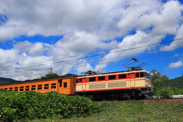 夏空の大井川鉄道をのんびりと走行する元西武E31形機関車_2025/7/20撮影