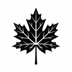 Maple leaf vector silhouette illustration isolated on white background