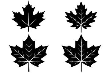 Obraz premium set of Maple leaf vector silhouette illustration isolated on white background