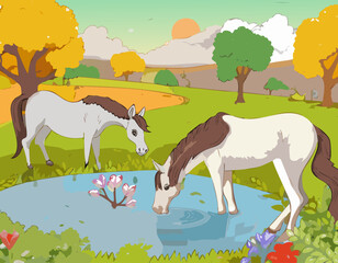 Horses in the field with trees drinking water from pond. Vector illustration.