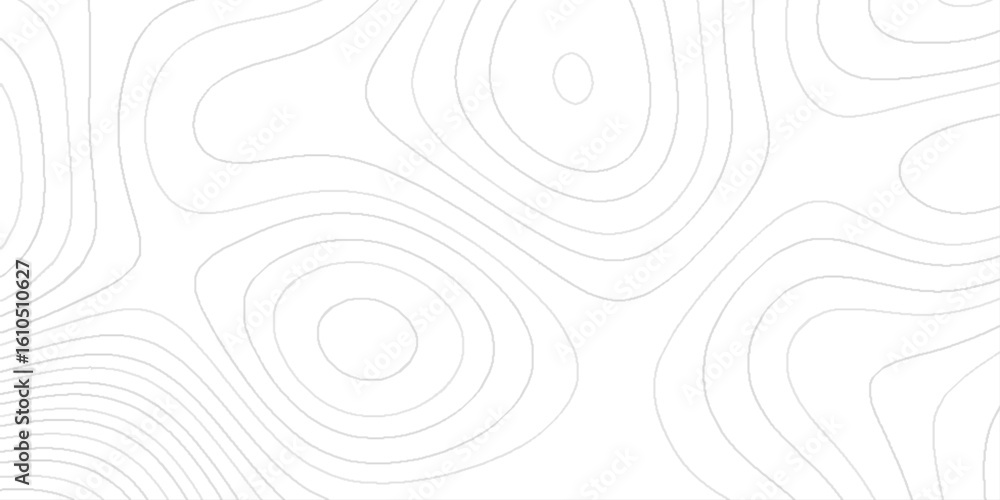 Poster a topographic map with light gray contour lines on a white background, it features a series of conce