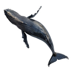 Majestic humpback whale breaching in deep blue ocean isolated on transparent background