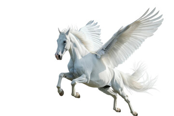 Pegasus isolated with clear white transparent background in HD