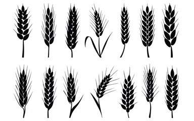 Grain Head Silhouette Pack &ndash; 15 Wheat & Cereal Icons for Agriculture, Nature & Surface Pattern Design