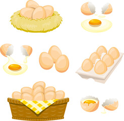set of different kinds of egg illustration 